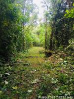 Un paisaje natural cerca del complejo de cabañas