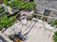 Zahrada ubytování Gün Işığı Pansiyon