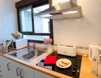 Kuchyňa alebo kuchynka v ubytovaní Apartamentos Turísticos Duque de Hornachuelos