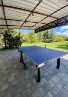 Stolný tenis v ubytovaní AquaHouse Zamkowe alebo v jeho okolí