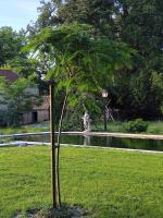 Ogród w obiekcie La Villa Romaine