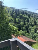 Táj az apartman közelében