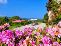 a garden with pink flowers and tables and umbrellas at Chambre d'hôtes Le Puy Maury in Augne