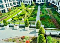 Vonkajšia záhrada v ubytovaní Uroczy apartament 2 osobne pokoje Marina Royal Palace
