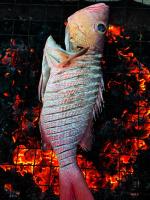 Fotografie z fotogalerie ubytování Thoddoo Island Holiday v destinaci Thoddoo