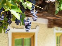 Plan piętra w obiekcie Chalet Anna