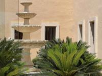 Zahrada ubytování VH CostaBlanca - COLISEO