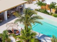 Una vista aérea de un complejo turístico con piscina y palmeras. en Axel Beach Mykonos - Adults Only, en Mykonos ciudad