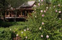 Zahrada ubytování Baan Krating Pai Resort - SHA Plus