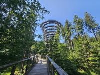 Příroda nedaleko apartmánu