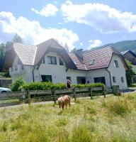 a woman standing in front of a house with a horse at Kreischberg Superior with Sauna in Sankt Lorenzen ob Murau