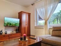 Televízia a/alebo spoločenská miestnosť v ubytovaní Apartman PP 13