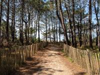 Plan piętra w obiekcie Maison T3 à Biscarrosse Plage, proche océan, 5 pers, terrasse, WiFi, parking inclus - FR-1-319-478