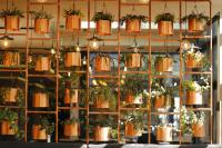 a wall filled with potted plants and lights at IOTA Hotel Tbilisi in Tbilisi City