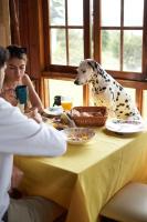 Jídlo v kempu nebo okolí