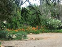 Taman di luar Aloe Guesthouse Klerksdorp