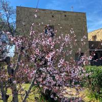 Ogród w obiekcie Casa Barbara Sardinia