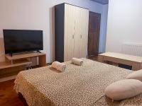 TV a/nebo společenská místnost v ubytování Alpin Guest House