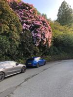 two cars parked on the side of a road with flowers at Porthmadog Aberdunant hall holiday camp in Porthmadog