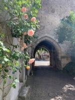 Ogród w obiekcie Maison Jeanne d’Arc