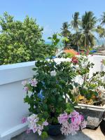 Κήπος έξω από το I Hostel Muine - A Little White Homestay By The Sea