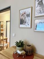Půdorys ubytování Apartmány Nad ZOO