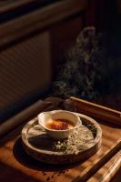 Gallery image of Mokrice Castle Estate in Čatež ob Savi