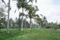 Urbanview Villa Pondok Uma Sari near Ubudにある庭