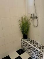 ein Bad mit einer Dusche mit einer Pflanze auf der Theke in der Unterkunft Suits יחידת נופש מתוקה באילת in Eilat