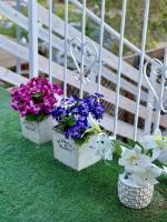 Ein Garten an der Unterkunft Suits יחידת נופש מתוקה באילת