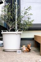 Blessing Guest Houseの見取り図または間取り図