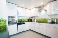 Kuchyň nebo kuchyňský kout v ubytování Apartment Camelia