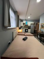 Kuchyň nebo kuchyňský kout v ubytování Central London - ground floor 2 bedrooms apartment
