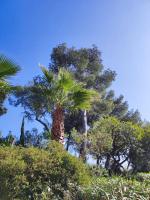 Ogród w obiekcie La Californienne