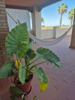 A balcony or terrace at TOP APARTMENT! Frente al mar y gran terraza