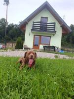 Domáce zviera alebo zvieratá hostí v ubytovaní Domek u Hornika