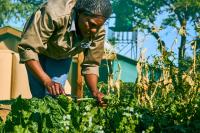 Επισκέπτες που μένουν στο Corona Guest Farm