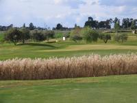Zaplecze golfowe tego domu na wsi lub w pobliżu