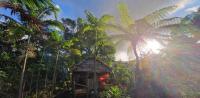 En have udenfor Tanna Lava View Bungalows