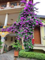 Zahrada ubytování Agriturismo Il Barone