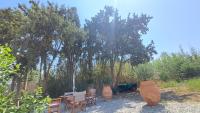 A garden outside Déjà Blue