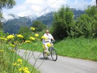 Hostia v ubytovaní Ruhige Wohnung mit schönem Eigengarten in Seeboden am Millstättersee