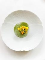 Un plato blanco con una flor verde y amarilla encima. en Best Western Sévan Parc Hôtel, en Pertuis