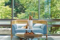 Thú nuôi lưu trú tại Kinock