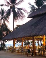 高兰Moonlight Bay Resort的棕榈树海滩上的一组桌椅