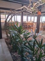 ニジア・フロレスタにあるPalawan Pousada & Bistrôのパティオ(テーブル、椅子、植物付)