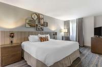 Una habitación de hotel con una cama grande y un televisor. en Windmill Suites Surprise - Phoenix, an Ascend Collection Hotel, en Surprise