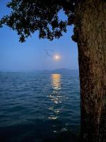 Ferienwohnung Lula في جشتادت أم كيمزي: اطلالة على القمر على الماء مع وجود شجرة