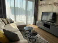 TV a/nebo společenská místnost v ubytování Luxury home in central Plovdiv