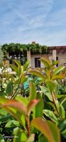 Zahrada ubytování Ferienhaus Rovinj mit Pool